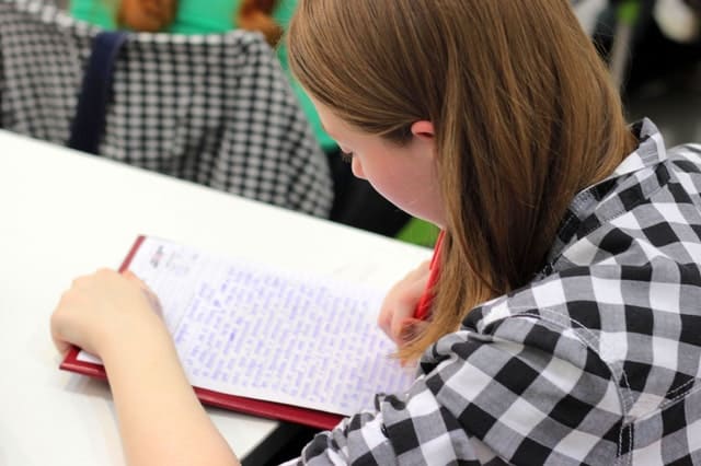 High School Essay Writing Strategies