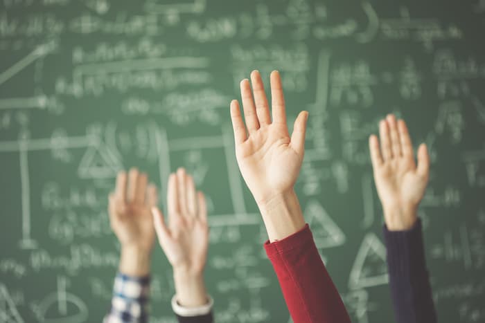 Individual coaching fosters curiosity and questions!