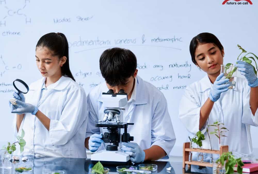 High School Science Tutoring for Confidence and Clarity