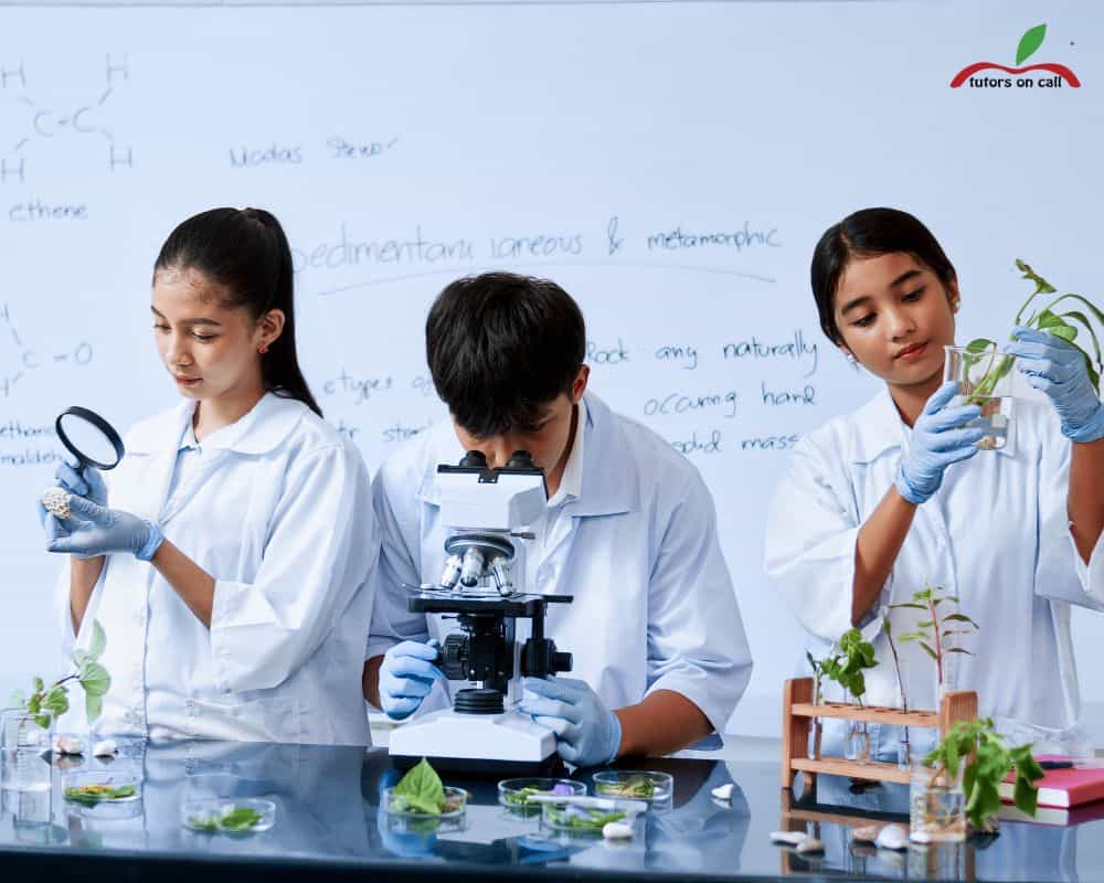 university tutoring support