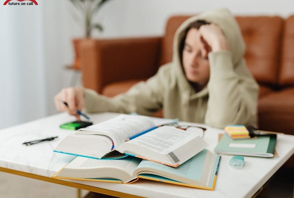 Why Academic Support in February Is About Stability