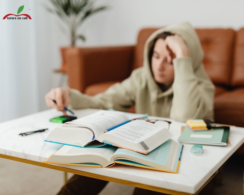 academic support in February